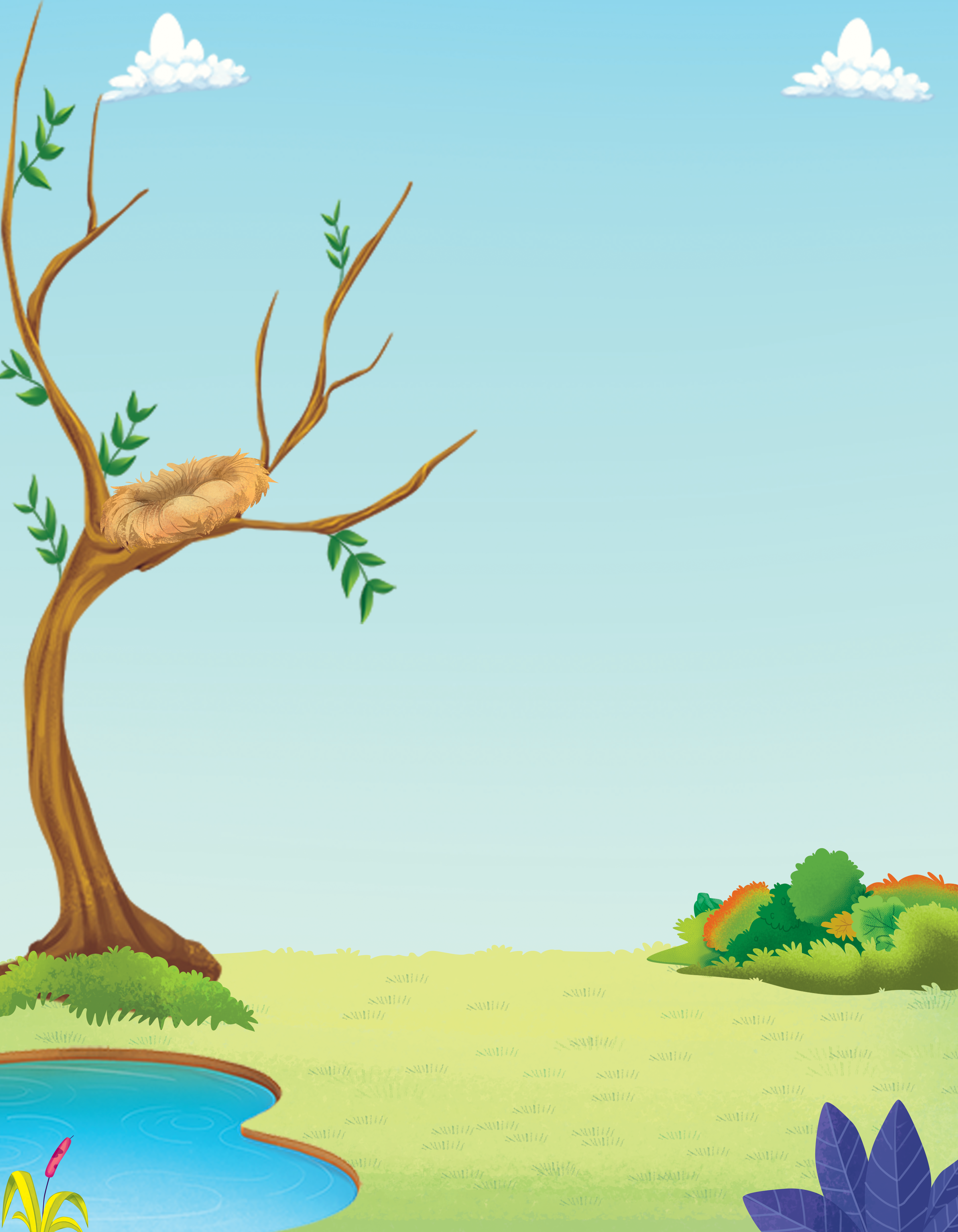 Birds category preview