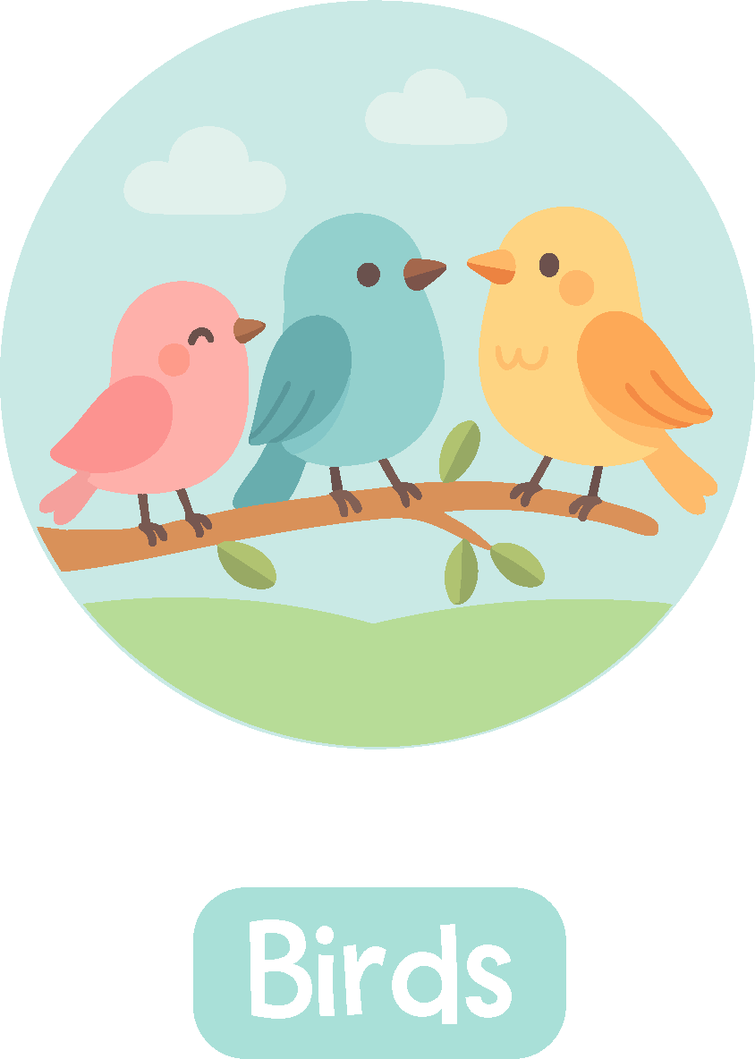Birds