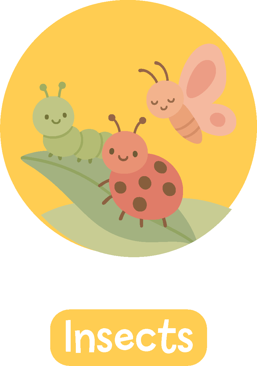 Insects