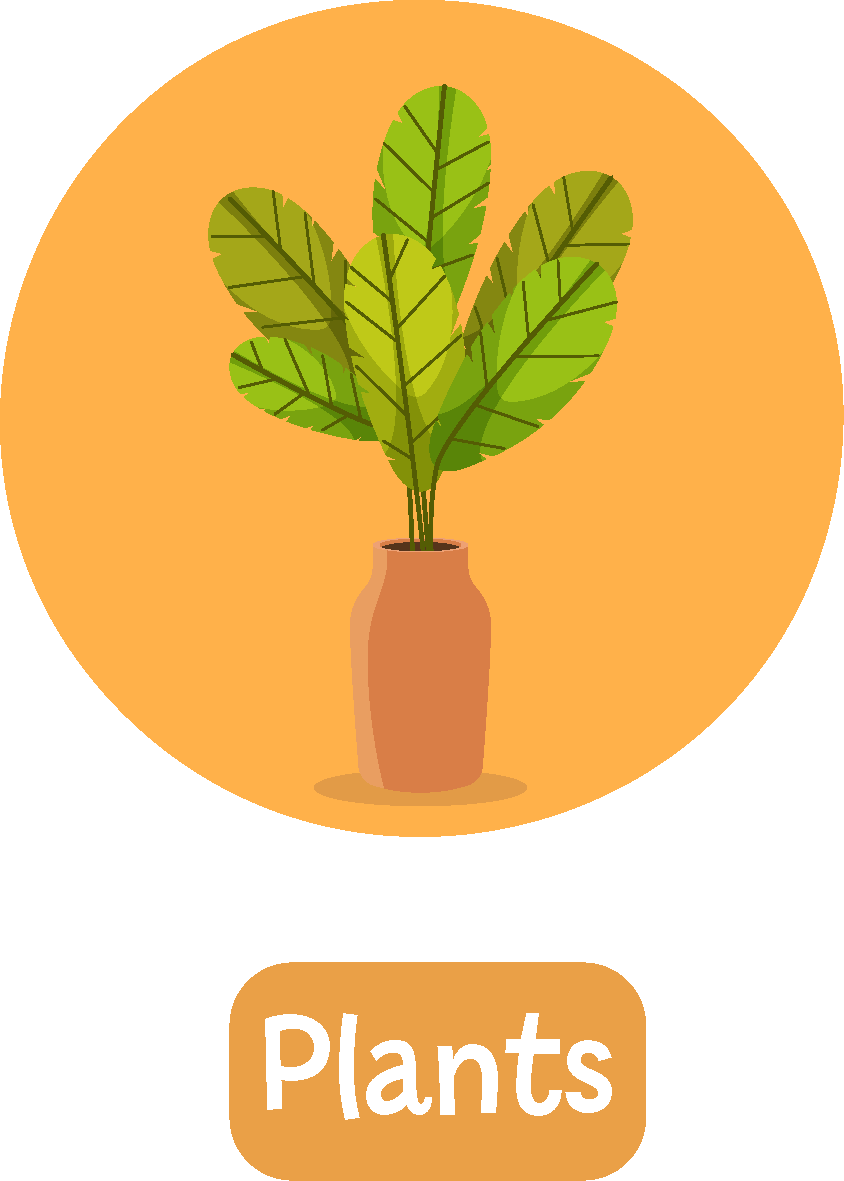 Plants