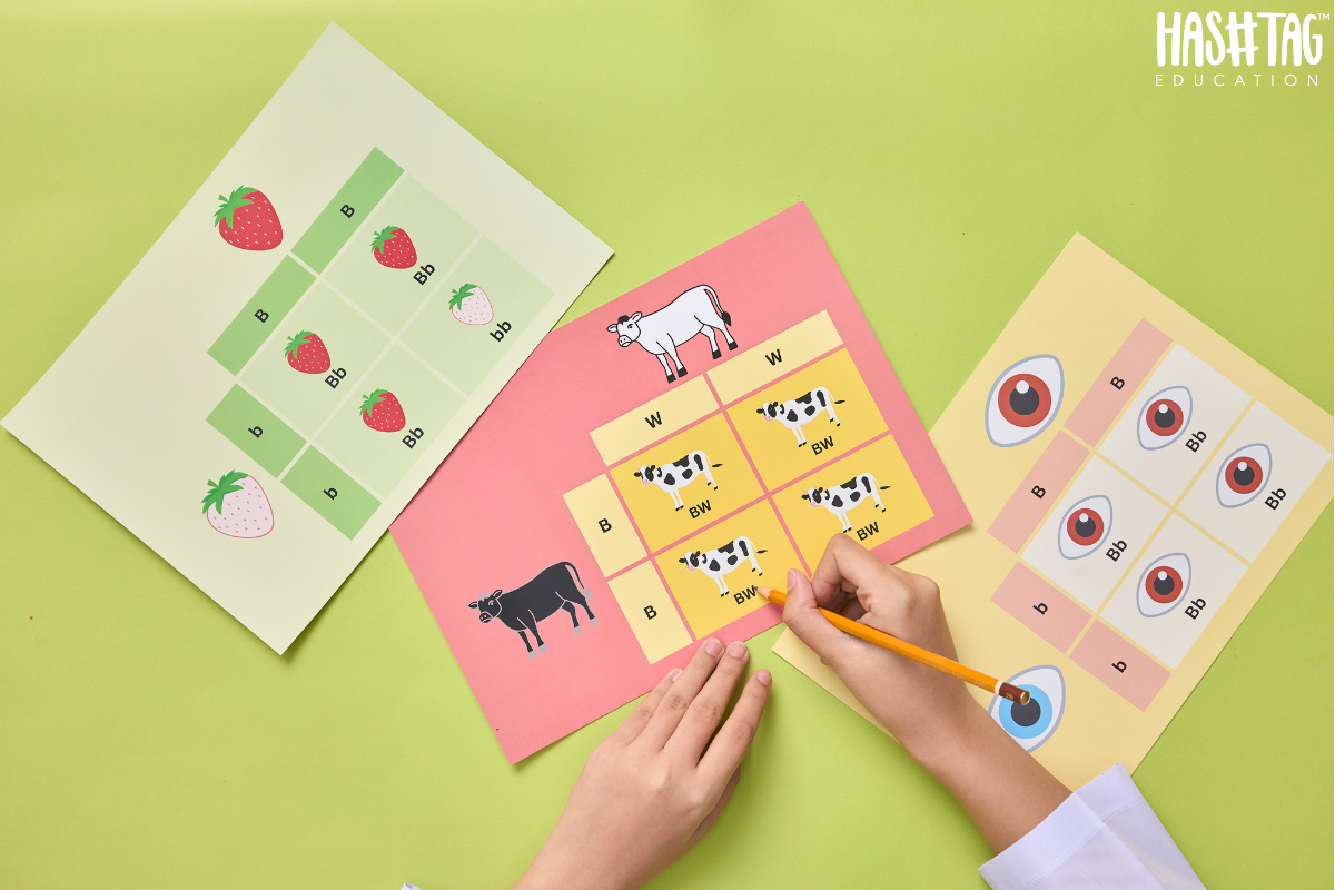 printable worksheets for LKG child practicing writing and counting at home India